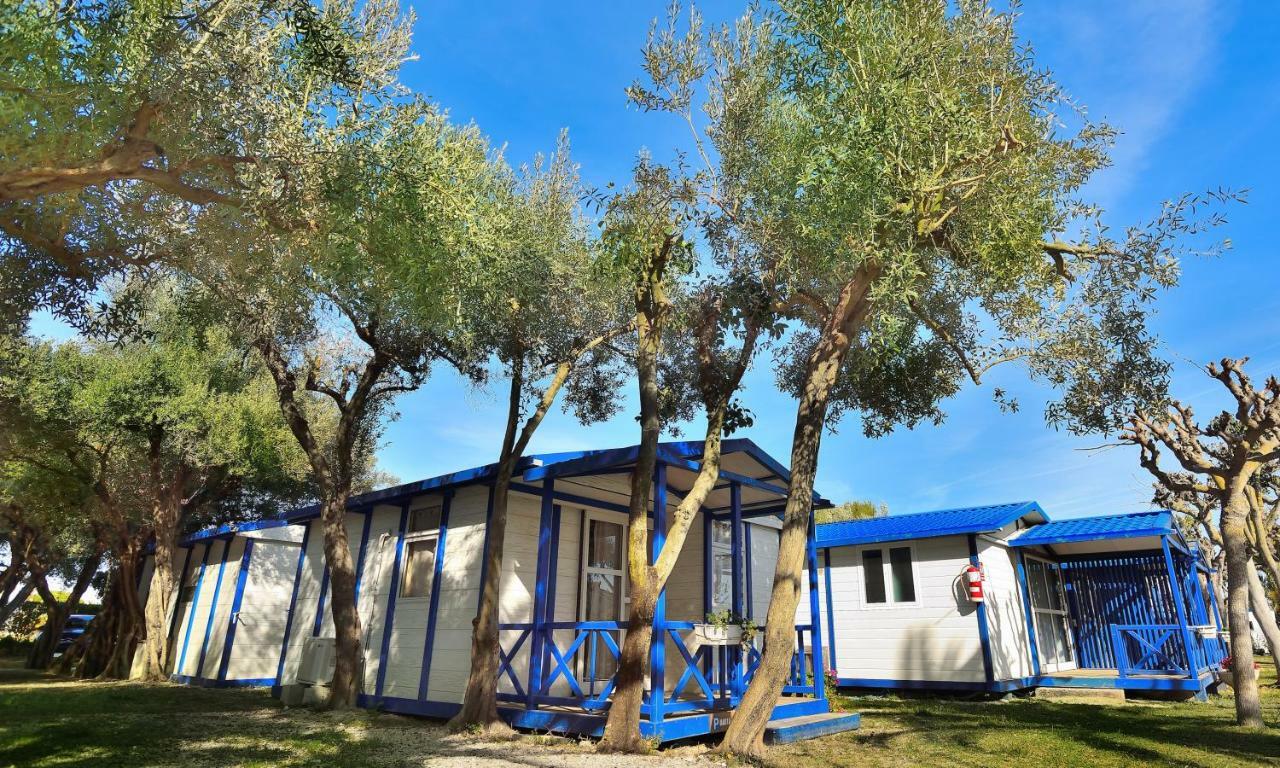 Camping & Bungalows Estanyet Les Cases d'Alcanar Exteriér fotografie